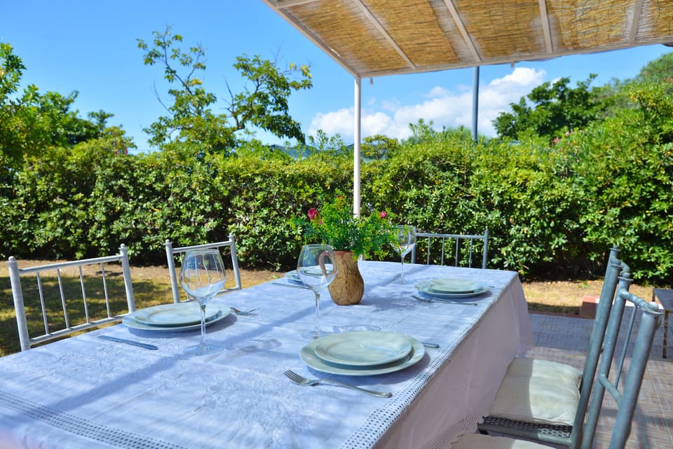 Basic Apartment | Terrace/patio