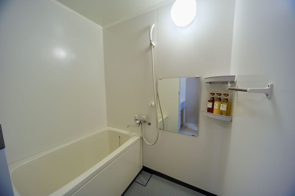 Combined shower/tub, free toiletries, hair dryer, slippers