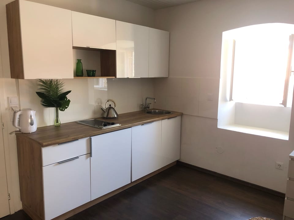 Studio (Studio Apartment with City View) | Private kitchenette | Fridge, dishwasher, electric kettle, cookware/dishes/utensils