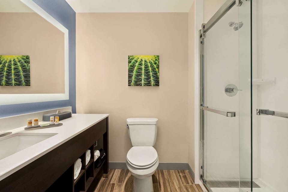 Free toiletries, hair dryer, towels