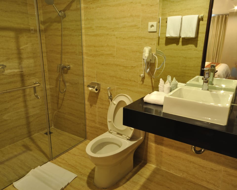 Combined shower/tub, free toiletries, hair dryer, slippers