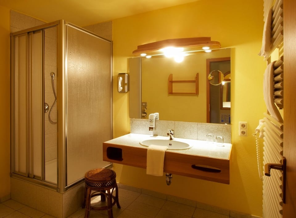Shower, free toiletries, hair dryer, towels