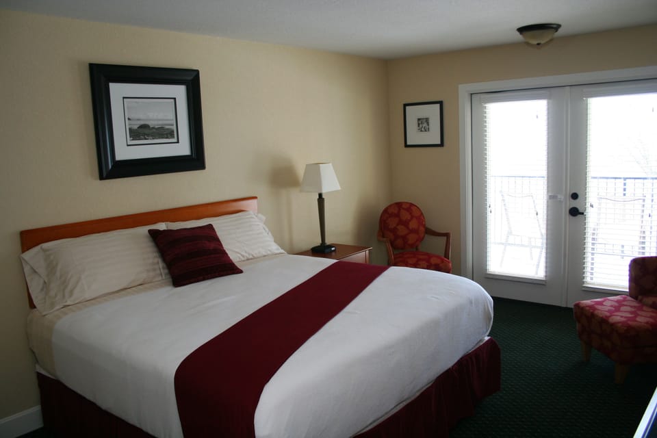 Standard Room, 1 King Bed, Refrigerator & Microwave, Lake View | Iron/ironing board, free WiFi, bed sheets