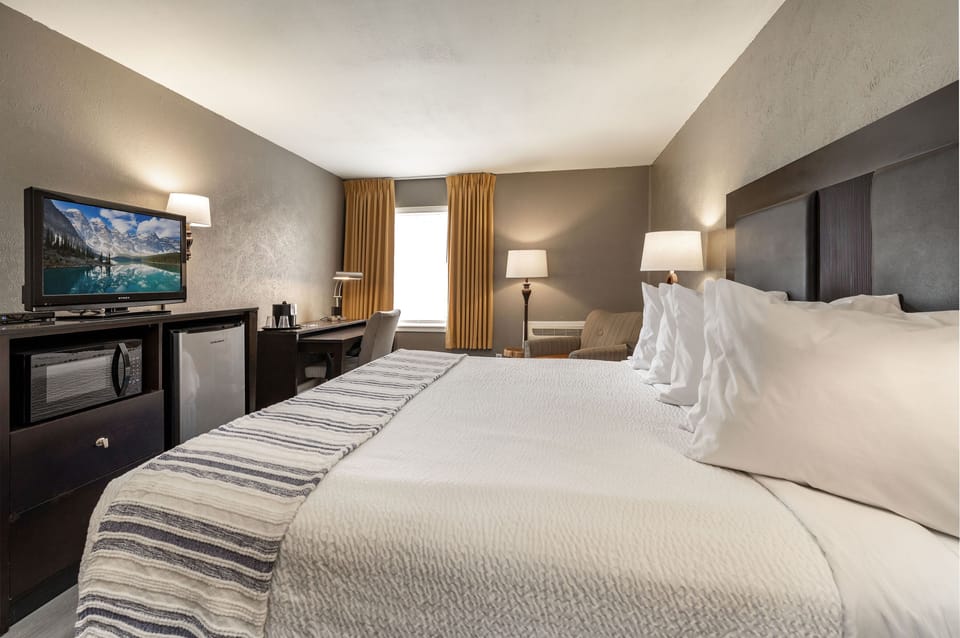 Premium bedding, laptop workspace, iron/ironing board, free WiFi