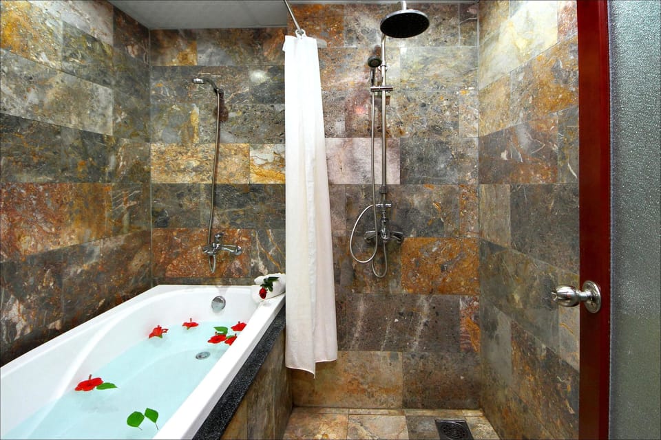 Shower, hydromassage showerhead, free toiletries, hair dryer