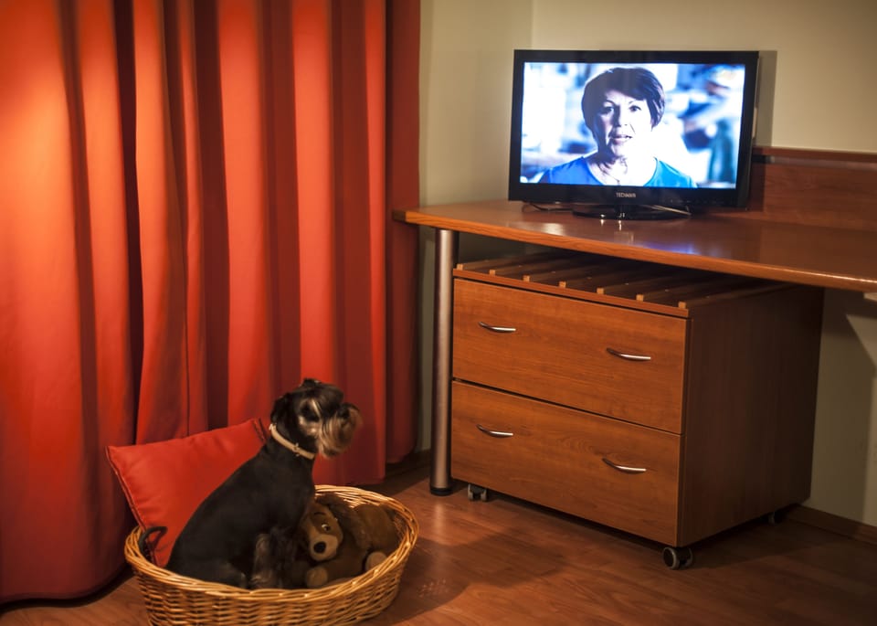 Pet-friendly