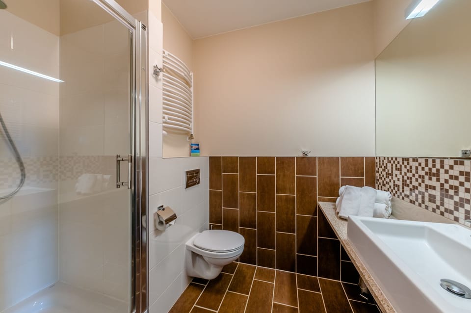 Shower, hair dryer, towels