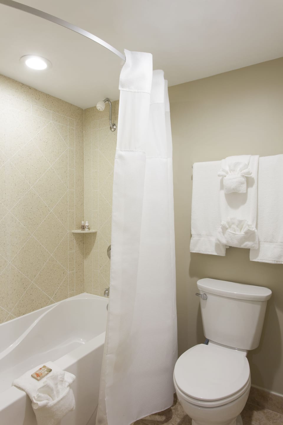 Combined shower/tub, free toiletries, hair dryer, towels