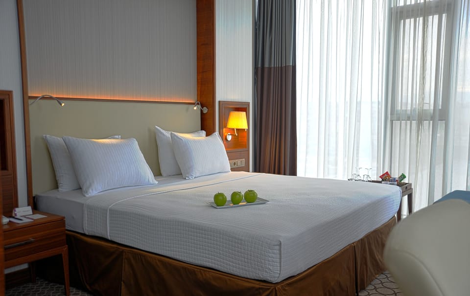 Minibar, in-room safe, soundproofing, iron/ironing board