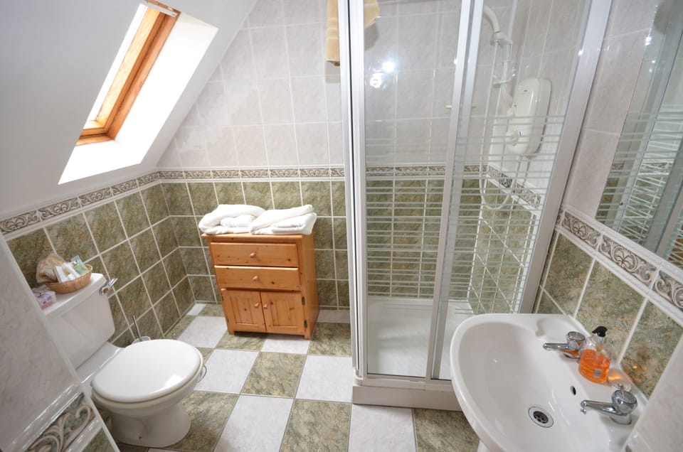 Double Single Room | Bathroom | Shower, free toiletries, hair dryer, towels