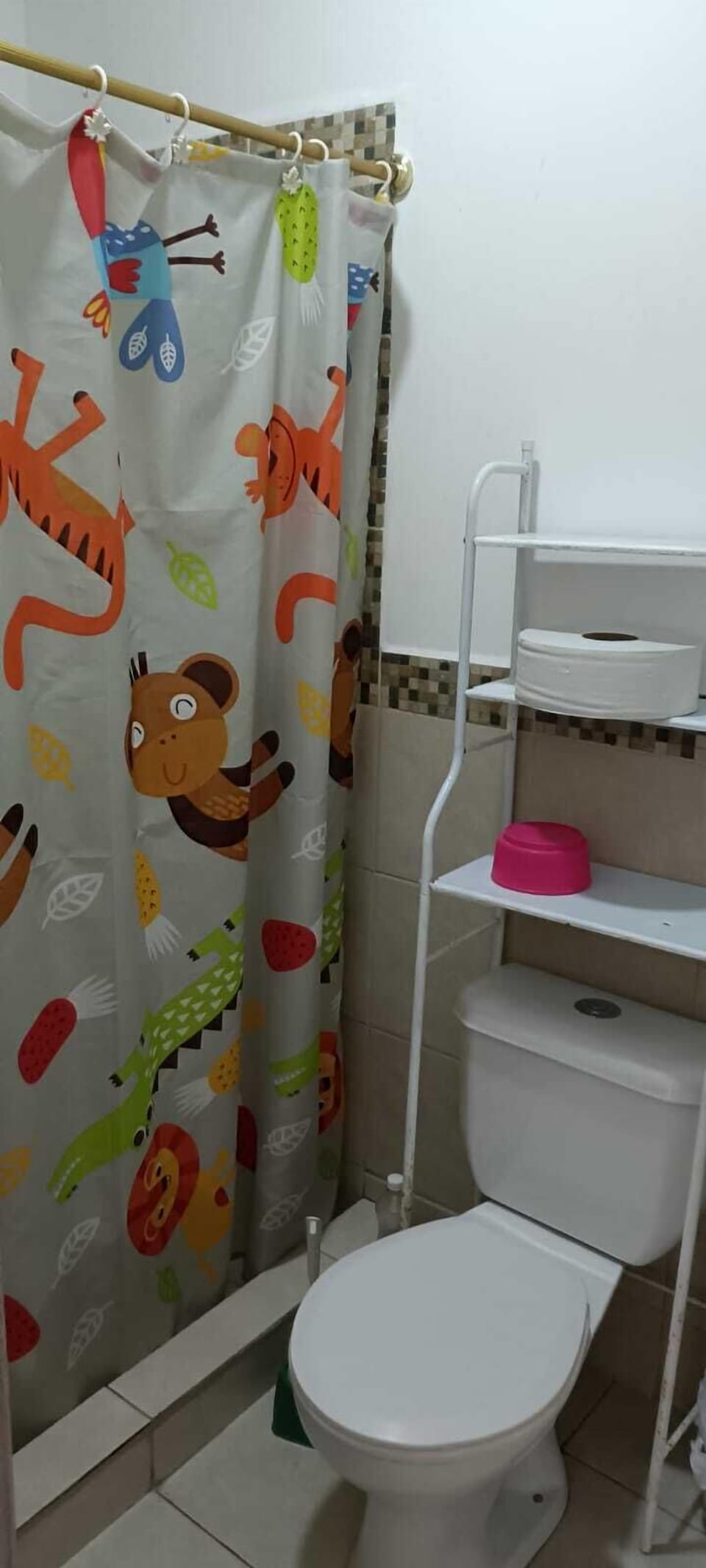 Shower, rainfall showerhead, bidet, towels