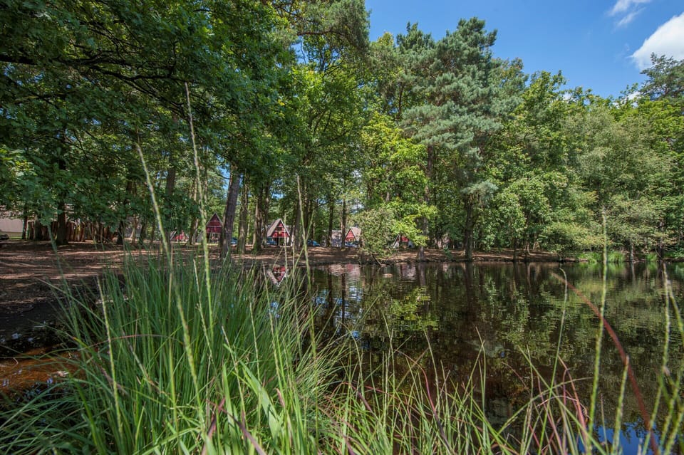 Chalet | View from property