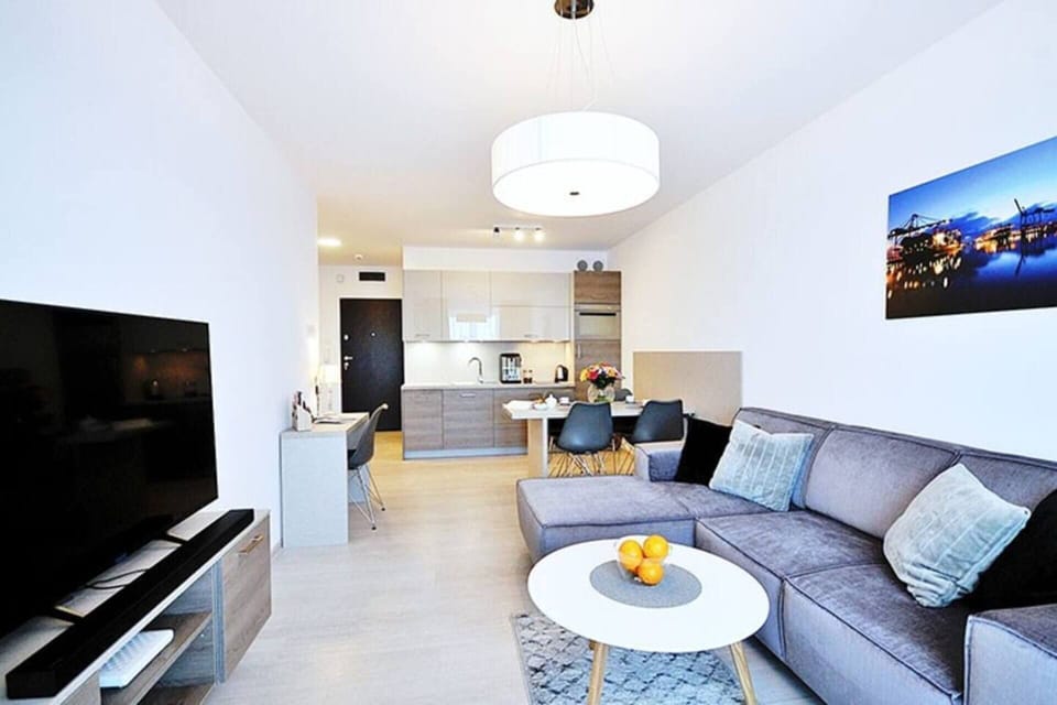 Apartment | Living room | 30-inch TV with digital channels