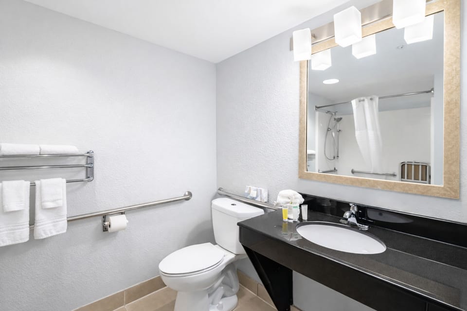 Standard Room, 1 King Bed, Accessible (Non-Smoking Handicap King Room) | Desk, blackout drapes, iron/ironing board, free WiFi