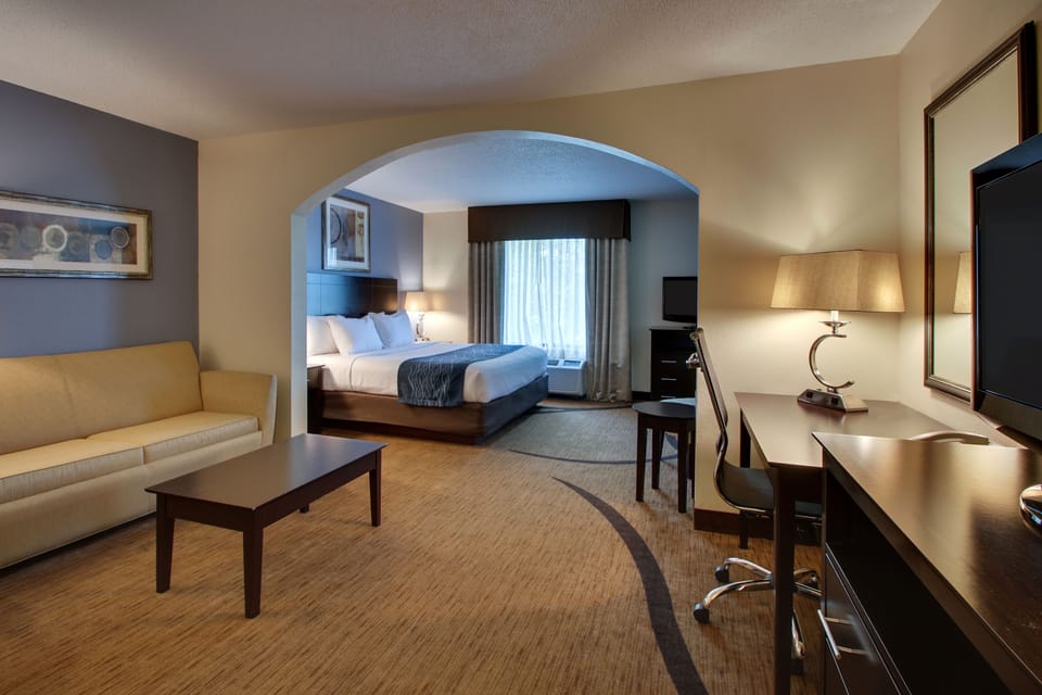 Standard Room, 1 King Bed | Desk, blackout drapes, iron/ironing board, free WiFi