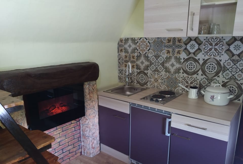 Cottage | Private kitchen | Fridge, stovetop