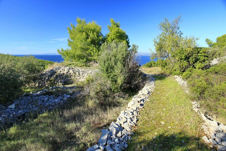 Cottage (Two Bedroom Stone House) | Garden