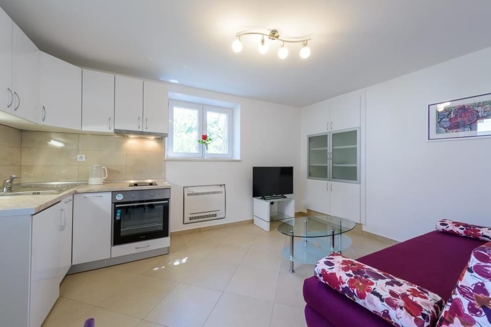 Apartment (One Bedroom Apartment with Terrace) | Private kitchen | Fridge, electric kettle, cookware/dishes/utensils
