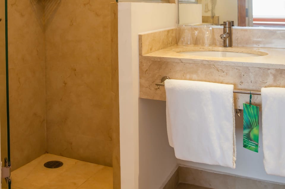 Shower, free toiletries, towels