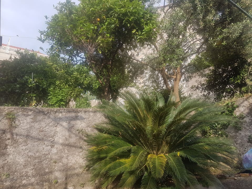 Apartment (One Bedroom Apartment) | Exterior