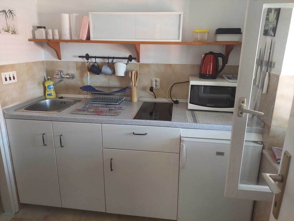 Apartment (One Bedroom Apartment) | Private kitchen | Fridge