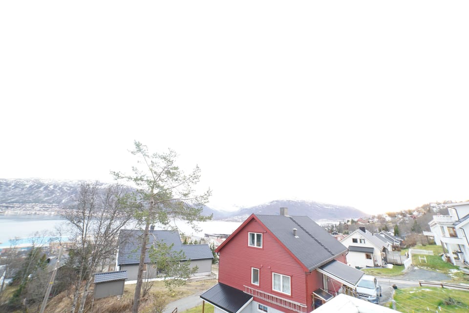 Comfort Studio | Garden view