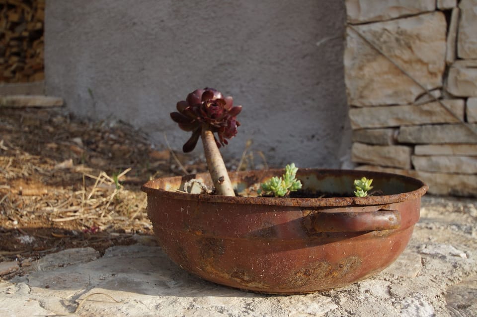 House (Two Bedroom Stone House with Terrace) | Property amenity