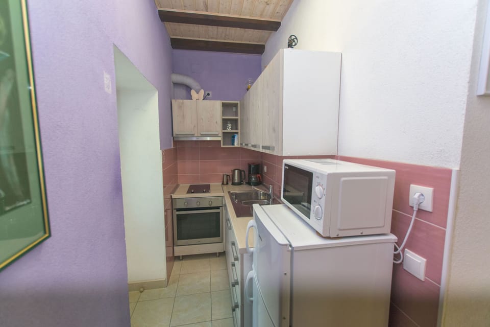 Apartment (A1) | Private kitchen | Fridge, microwave, oven, stovetop