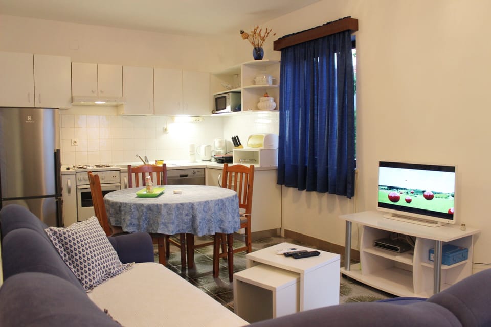 Apartment (One-Bedroom Apartment with Terrace) | Living room | TV