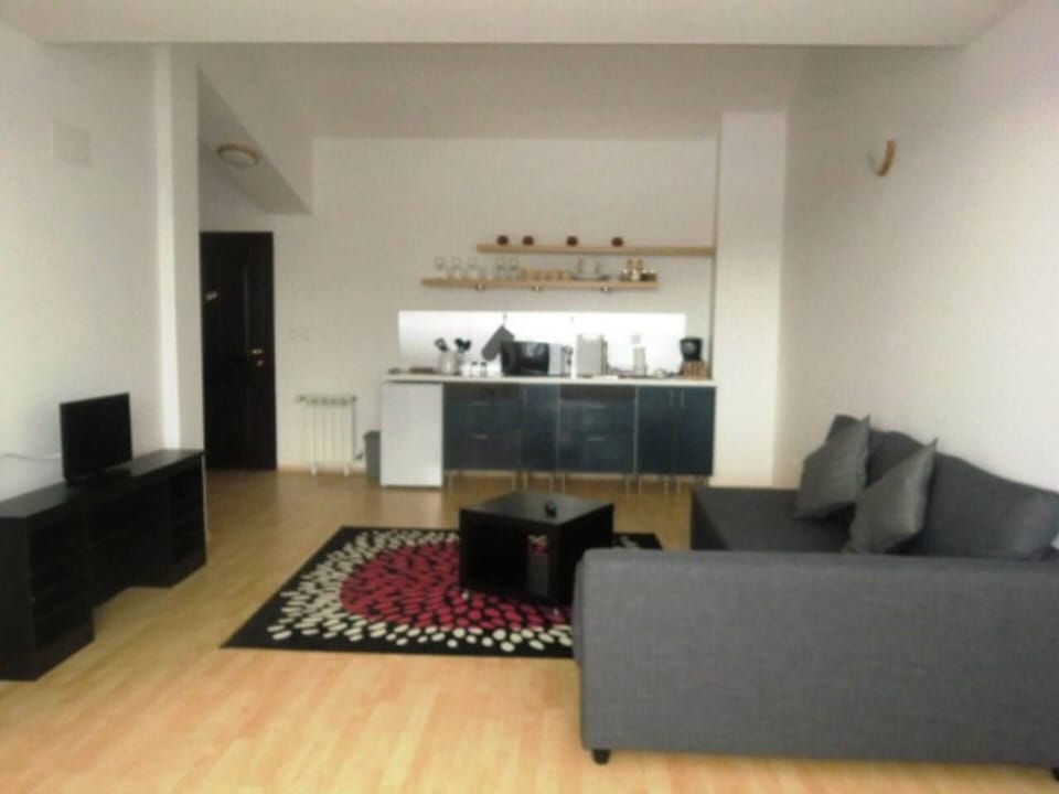 Apartment | Living room | 30-inch TV with digital channels