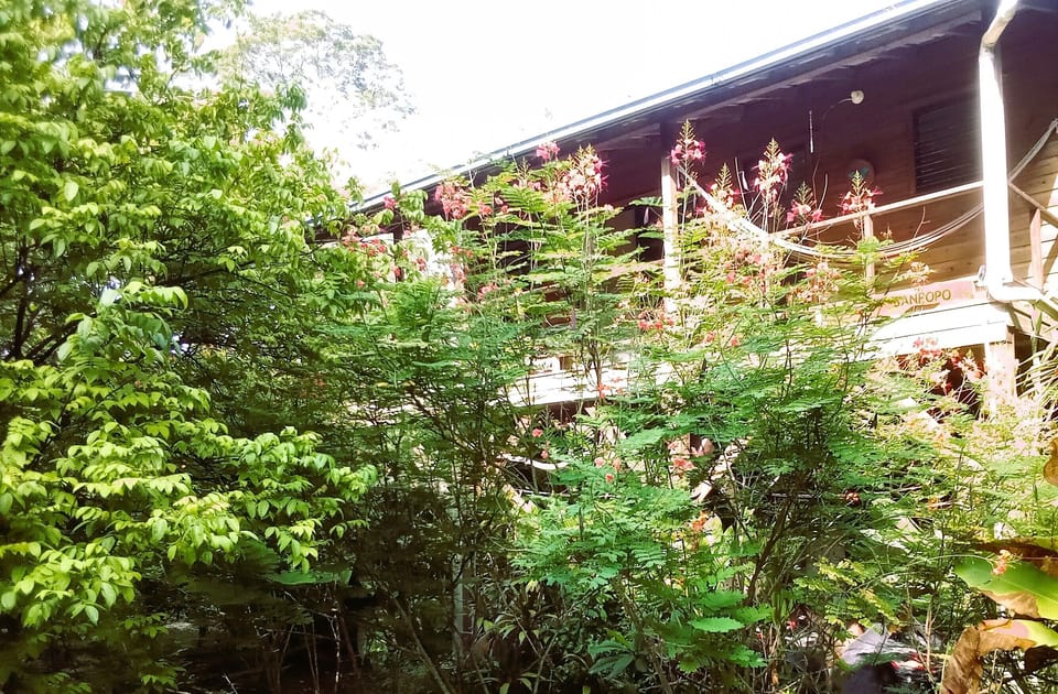 Studio, 1 Bedroom, Smoking, Balcony | Exterior