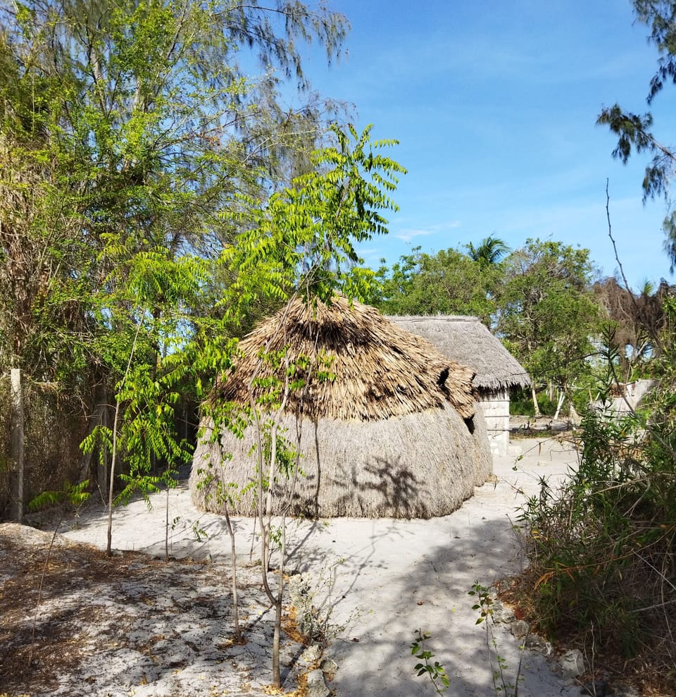 Room-mida Creek Eco Camp - Lodge Bed and Breakfast in Kenya