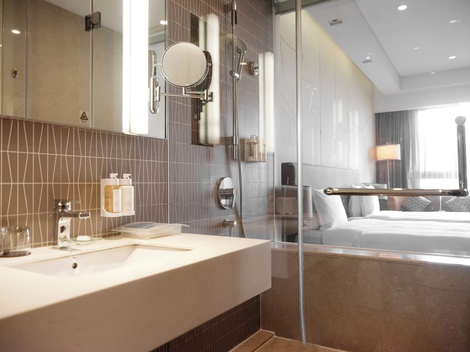 Shower, hydromassage showerhead, free toiletries, hair dryer