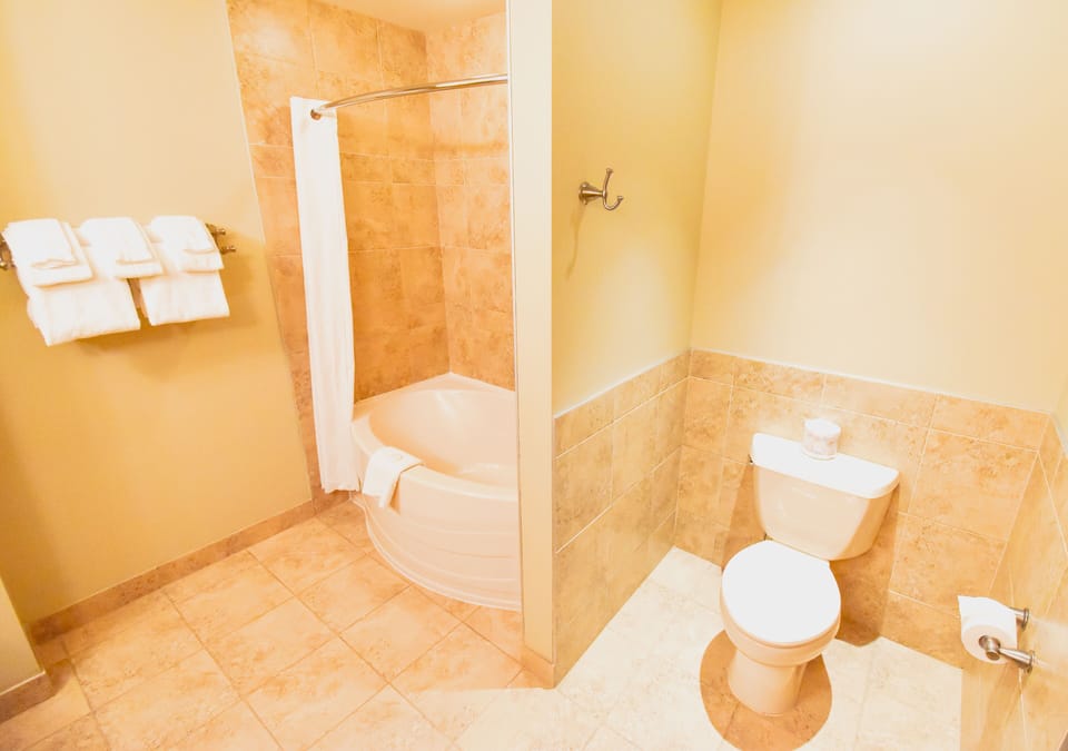 Deluxe Room, 1 King Bed | Deep soaking bathtub