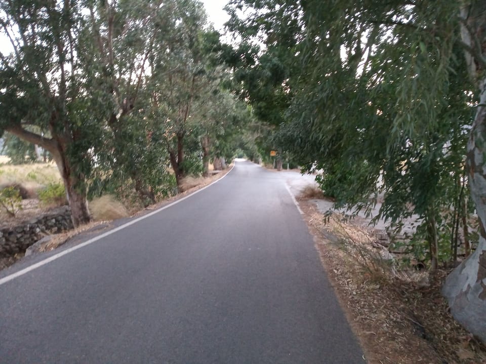 House | Property grounds