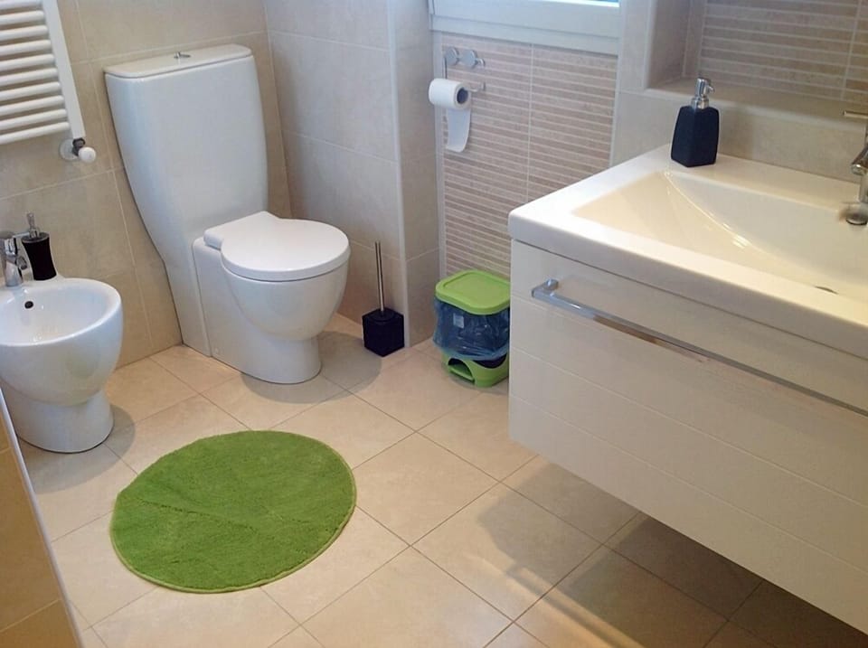 Separate tub and shower, rainfall showerhead, hair dryer, bidet