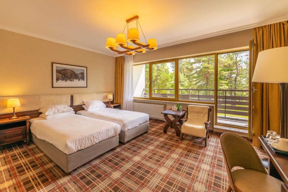 Standard Double Room (w Rezydencji) | Minibar, in-room safe, desk, laptop workspace