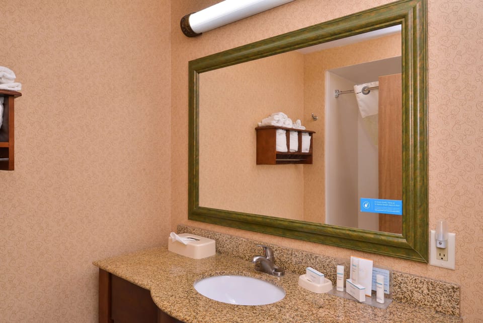 Combined shower/tub, free toiletries, hair dryer, towels