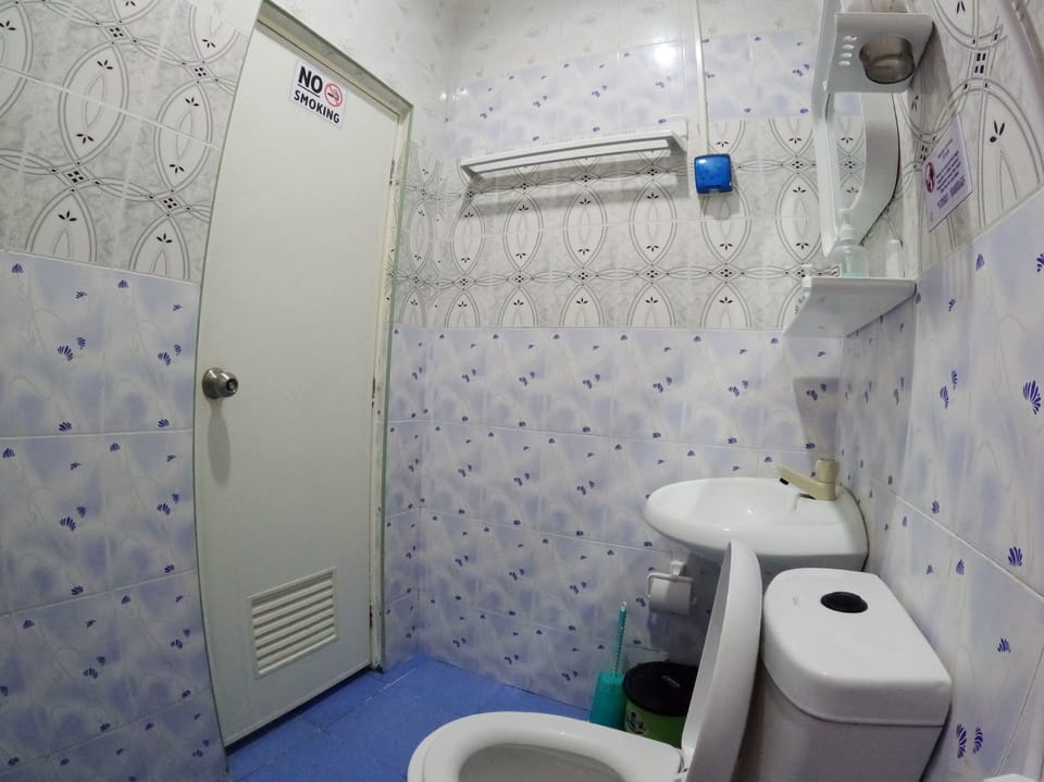 Deluxe Double Room | Bathroom | Shower, hydromassage showerhead, free toiletries, hair dryer