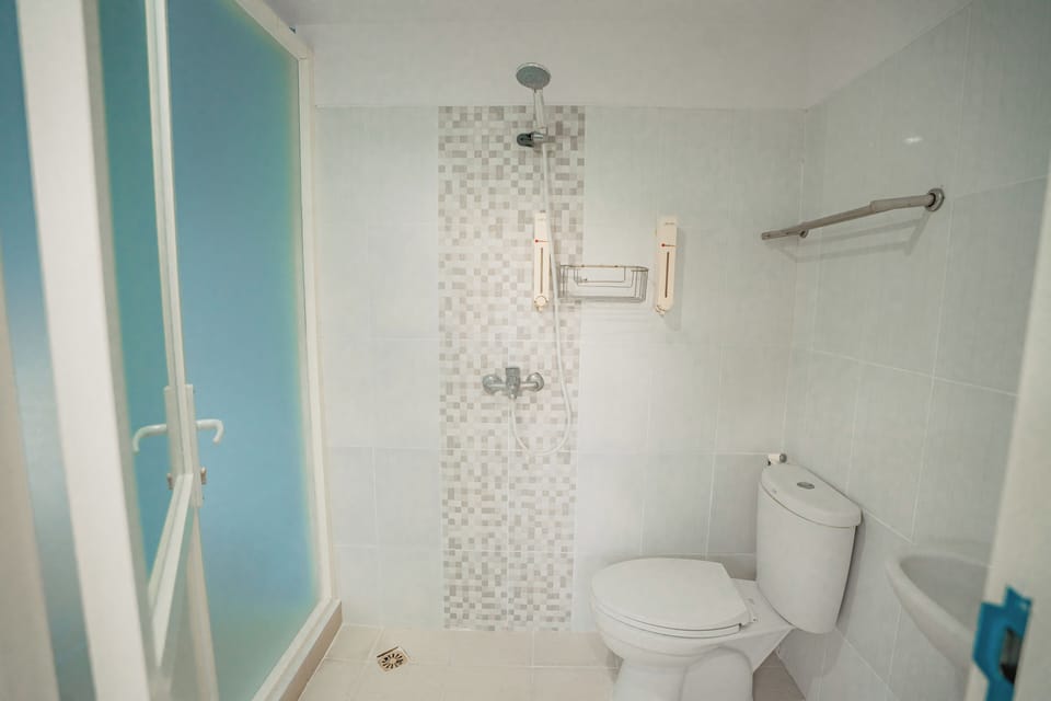Deluxe Double Room | Bathroom | Shower, towels, soap, shampoo