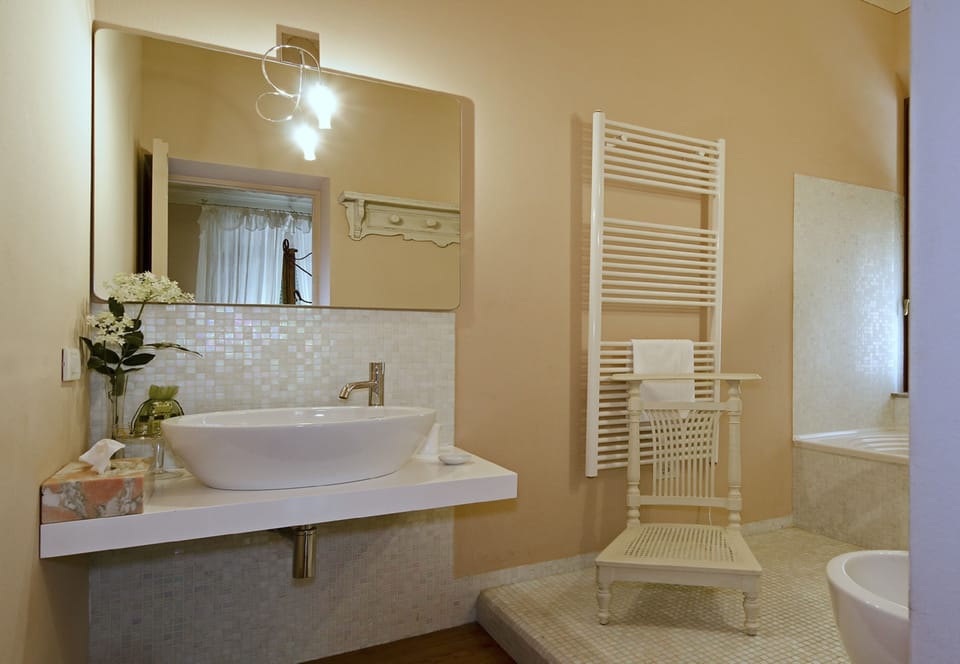 Hair dryer, bidet, towels