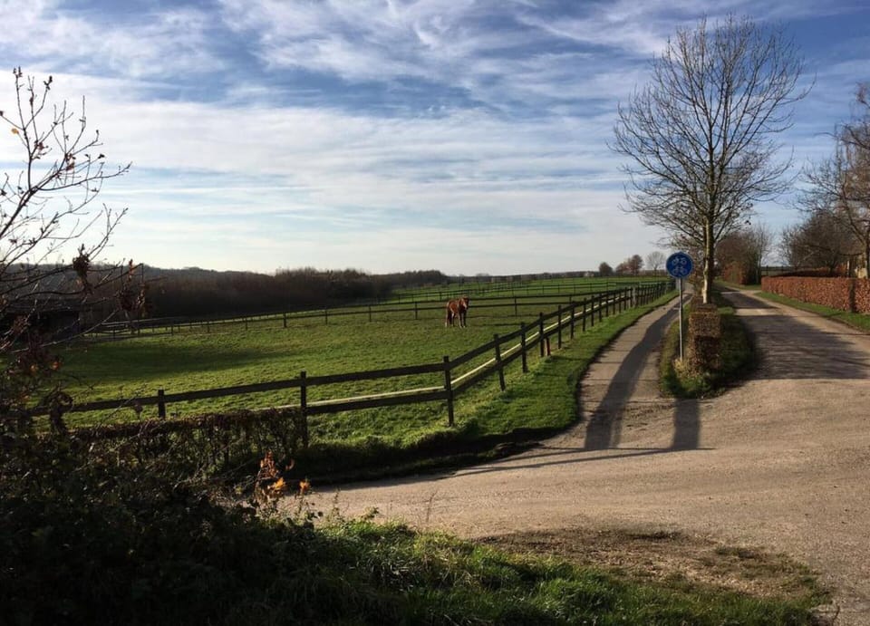 House | View from property