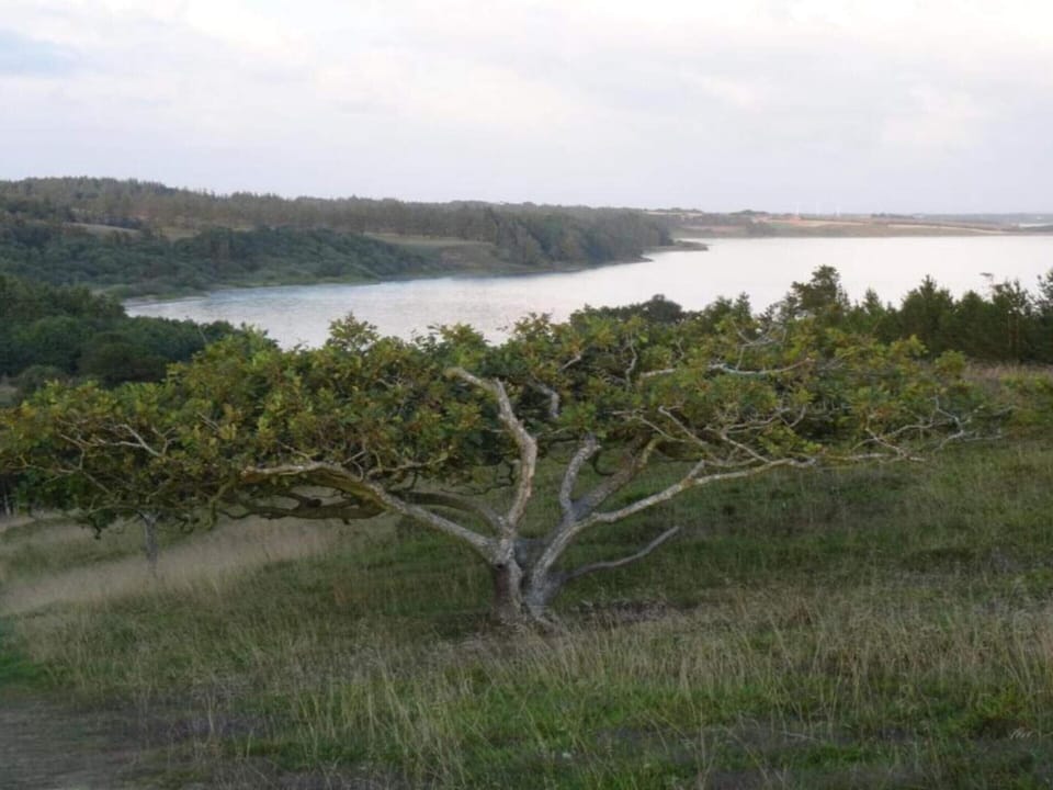 House | Miscellaneous
