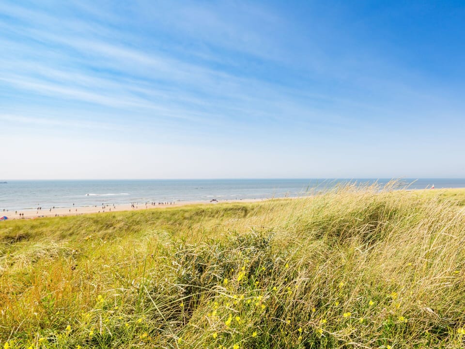Apartment in Egmond aan Zee Near the Beach Apartment in Egmond aan Zee