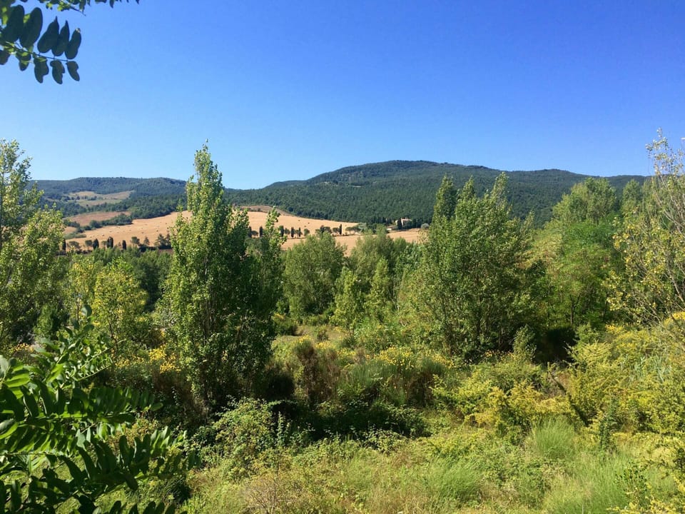 House | View from property
