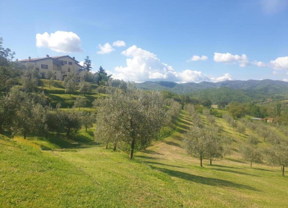 House | View from property