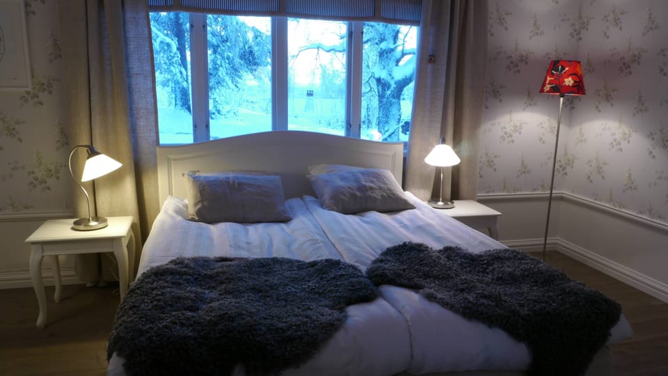 Double Room, Annex Building | Desk, laptop workspace, blackout drapes, WiFi (free)