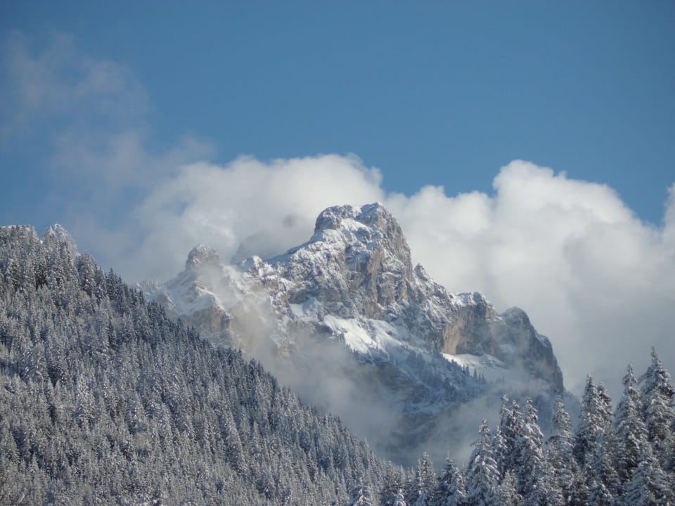 Alpina Hotel in Tyrol
