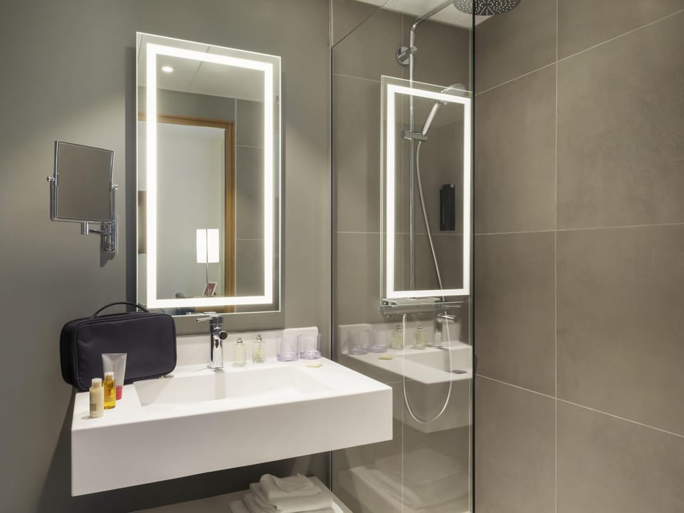 Standard Room, 1 Double Bed | Down comforters, minibar, in-room safe, desk