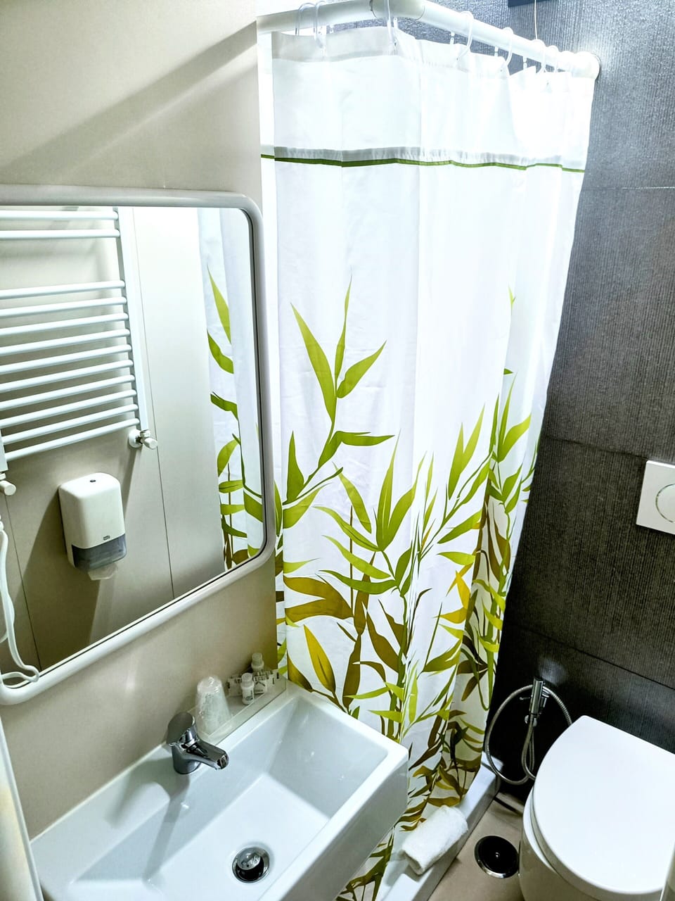 Economy Double Room | Bathroom | Shower, hair dryer, towels, shampoo